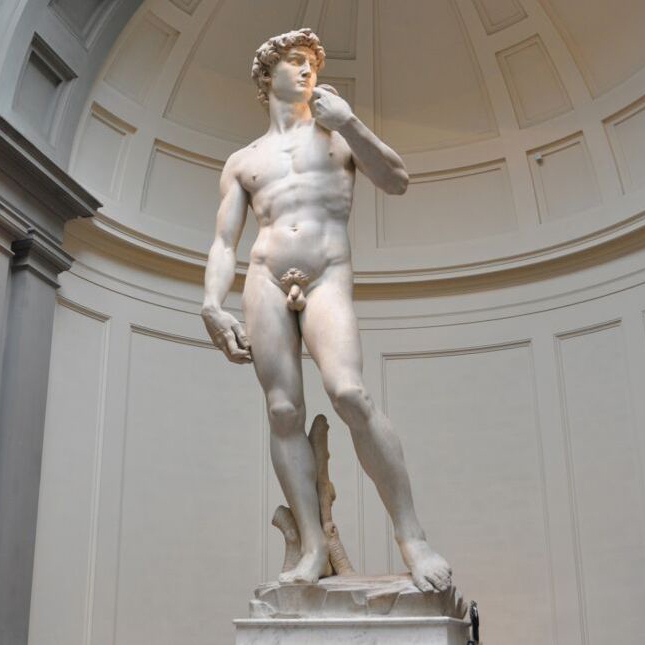 photograph of statue of david by michelangelo